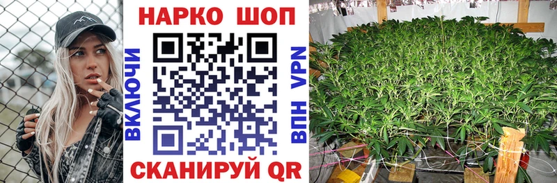 Где продают наркотики Азов Бошки Шишки  omg tor  СОЛЬ  Мефедрон  МДМА  Гашиш  COCAIN 