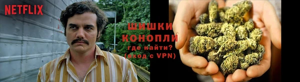 дурь Алексеевка