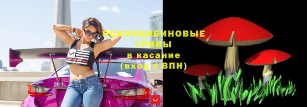 эйфоретик Алексин