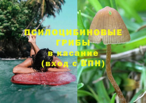 эйфоретик Алзамай