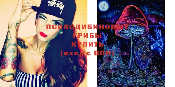 эйфоретик Алзамай