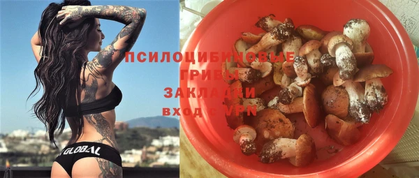 твердый Краснослободск