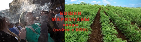 бошки Арсеньев