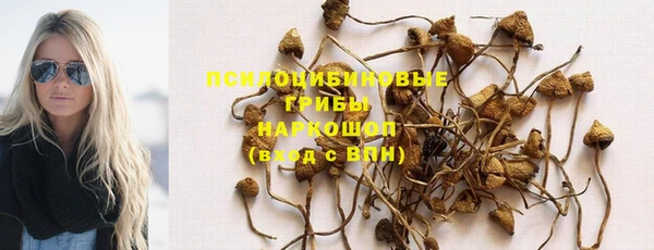 тгк Аркадак